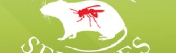 MB Pest Services – Pest Control Services Covering a 20 Mile radius of Ludgershall, Near Andover