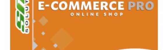 Take your Business to the Next Level and get an Ecommerce Website ! Make Sales Online while you Sleep!