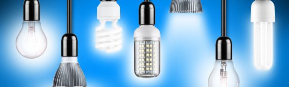 Energy Saving and LED Lightbulbs on BBX – Bulk offers welcome