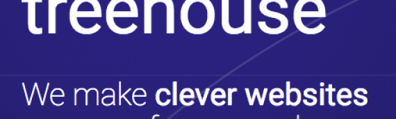 We make clever websites for you and your company!
