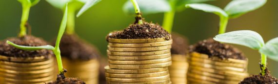Looking to invest in a franchise? Here’s what you should know…