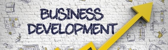 Business Development Executive Available on BBX