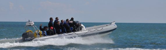 Get RYA Qualified to Drive a Powerboat or Jetski on BBX!