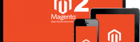 Magento Ecommerce Development Services