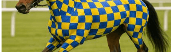 Unique Horse Racing Investment Opportunity