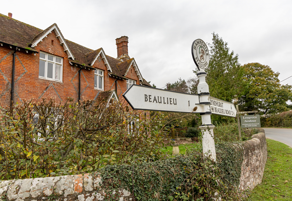 6789337453af97c902529217 leygreen 6