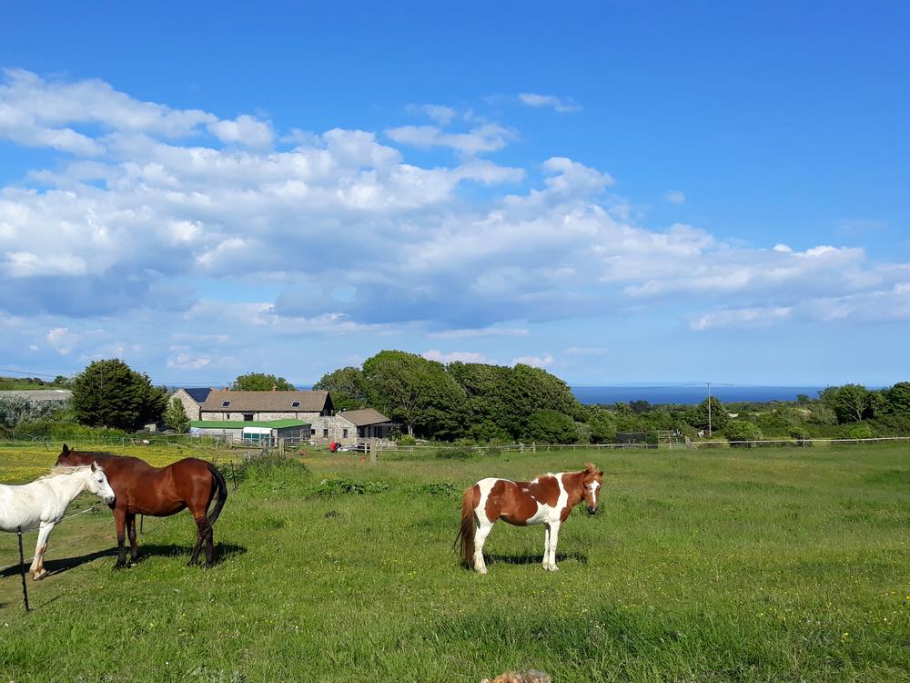 Traditional Camping in Swanage