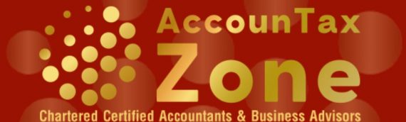 Custom Accounting Solutions for your Business!