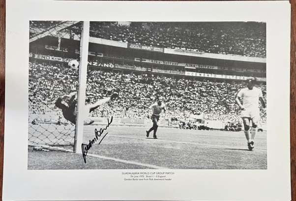 GUADALAJARA WORLD CUP GROUP MATCH 12