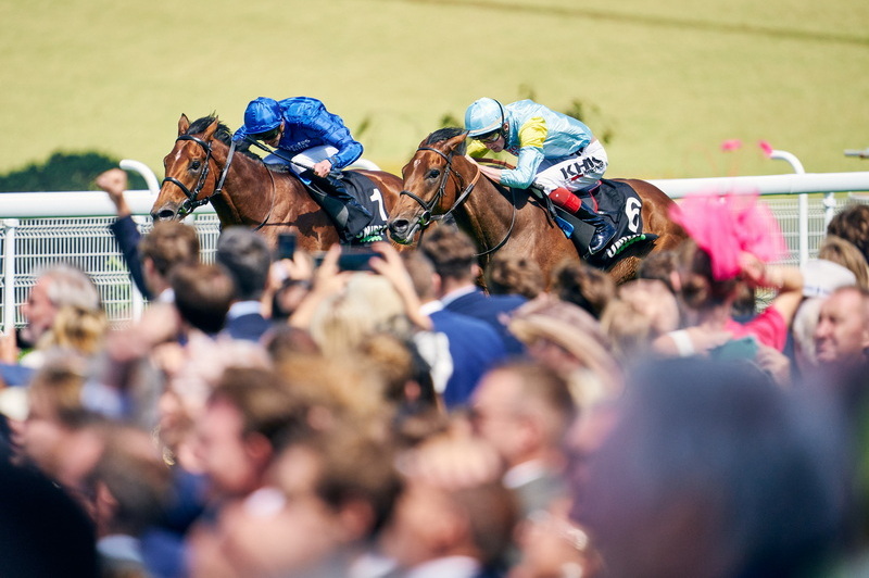 Qatar Goodwood Festival