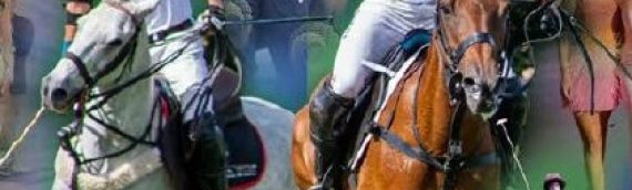 Advertising at the Asia Polo Cup now on BBX