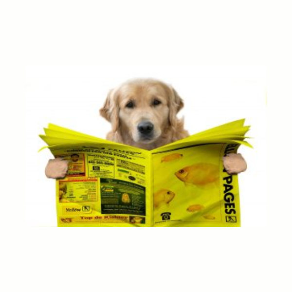 CatBase: Top Dog In Data Publishing!