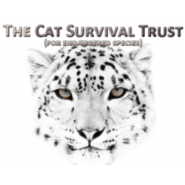 Working To Give Wild Cats A Future