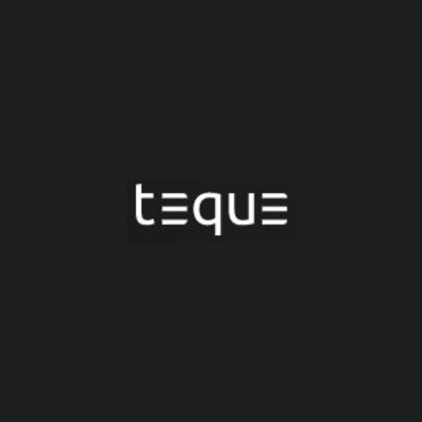 Teque - Custom made software development and services that cater to every business need.