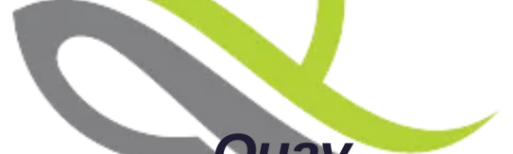 Quay Media: Creative Solutions for Every Brand