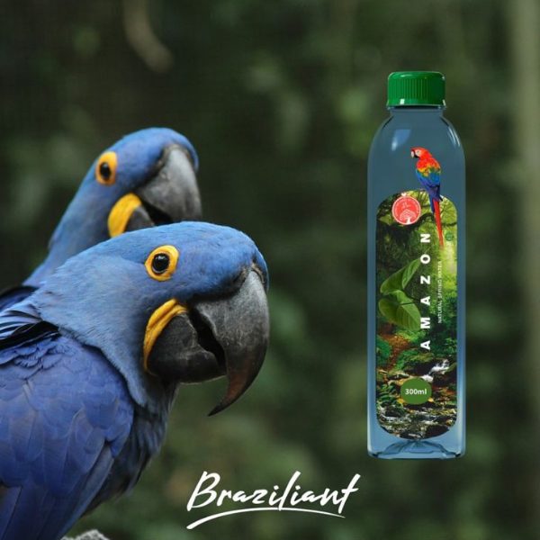 Who Landed Title 2025 02 11T113313.793