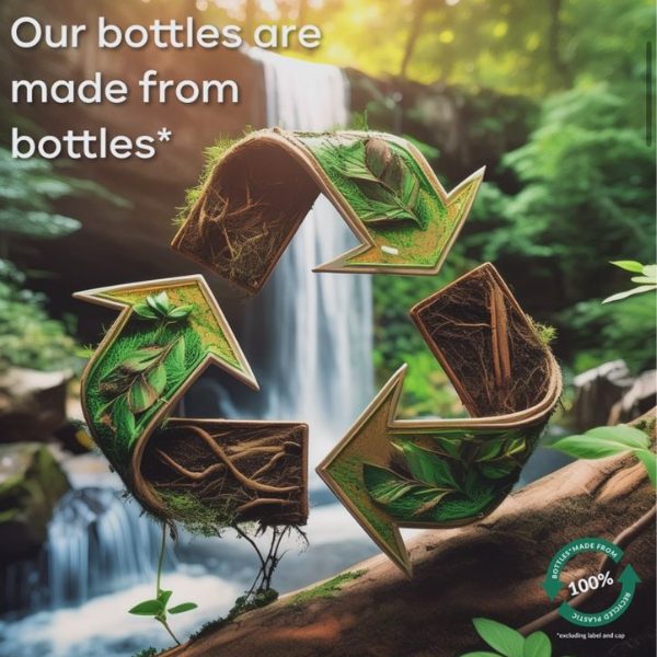 Who Landed Title 2025 02 11T113358.449