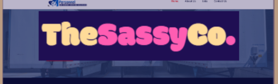 SassyCo – Professional Website Services