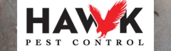 Pest Problem? Get It Dealt With Quickly, Safely & Discreetly