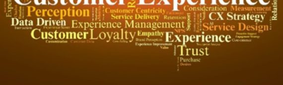 We specialise in Driving Excellence through ISO Standards