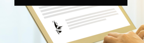 Content That Builds Trust and Brings Clients to You