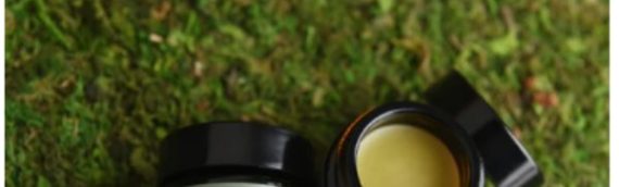 EVERLEAF HERBAL: 100% Natural Skincare Products