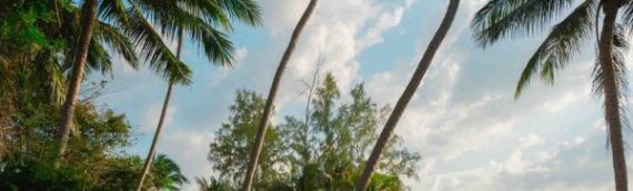 Looking to travel? – Travel wise! Save cash, save you time and join today!